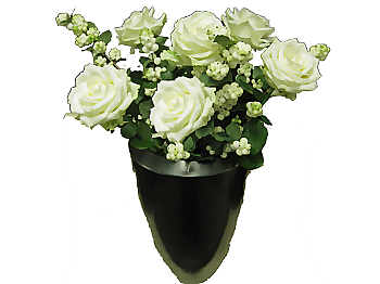 viburnum-_-roses-medium.png